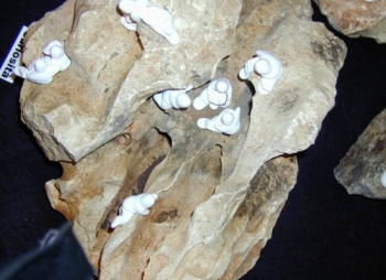 Pedra Cantinho da Leitura